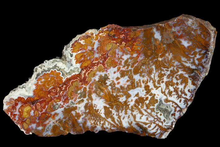 Wingate Pass Plume Agate Section - California #114843